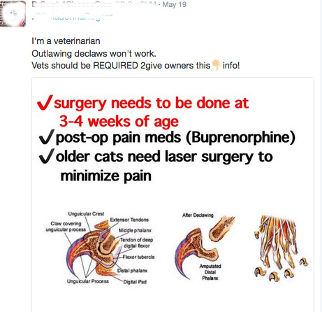 SPay4