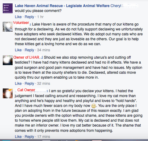 LakeHavenAnimalRescueExplanationA