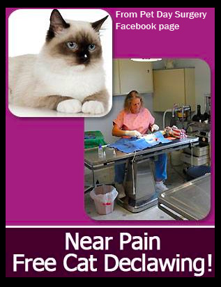 Pet Day Fb page