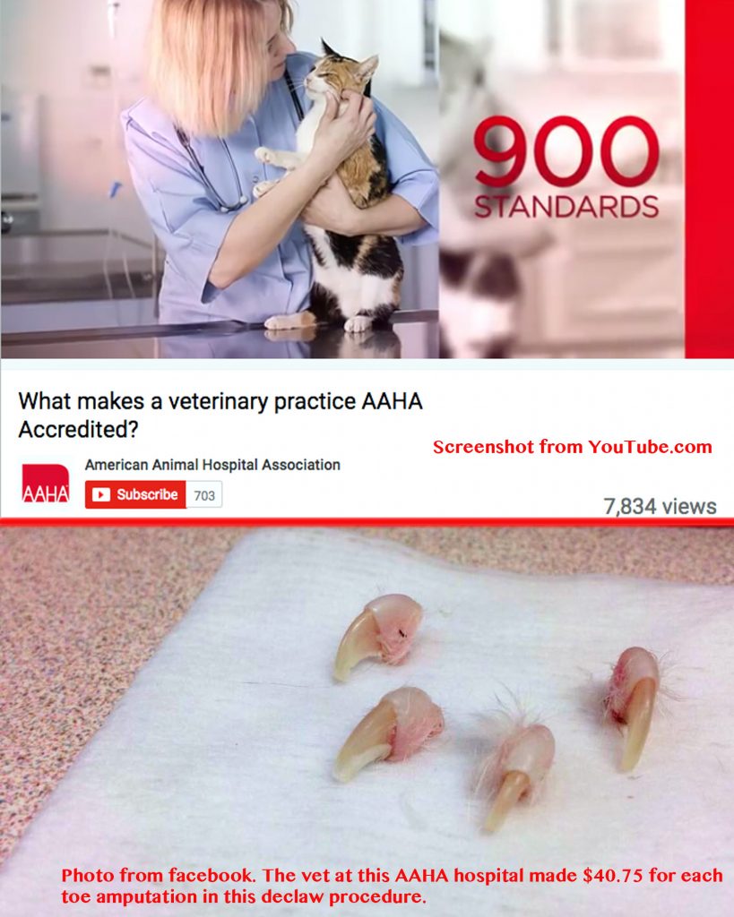 aaha-900