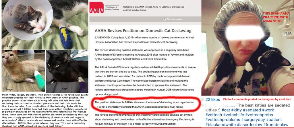 aaha-declaw1