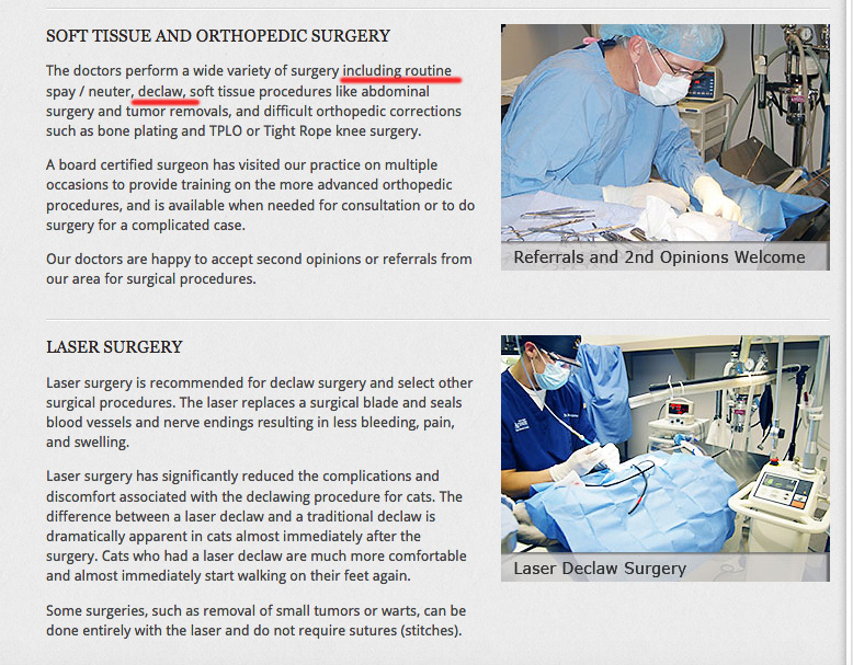 bluespringsanimalhospitalaaha