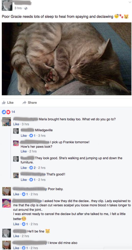 milledgevilledeclaw1
