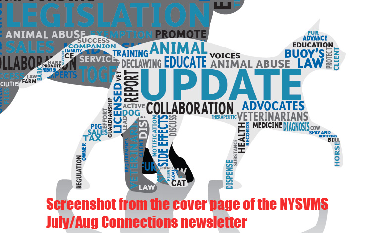 nysvms-cat-july-aug