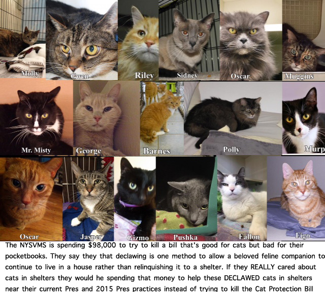 nysvms-collage-photos1