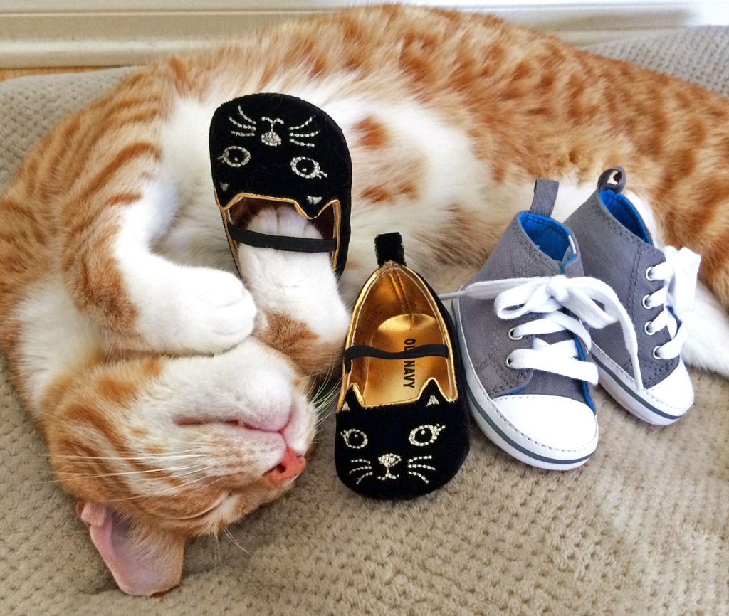 baby-shoes