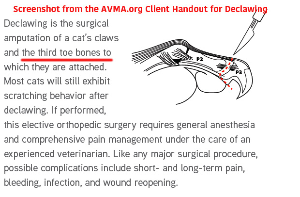 njvma-client-handout-avma